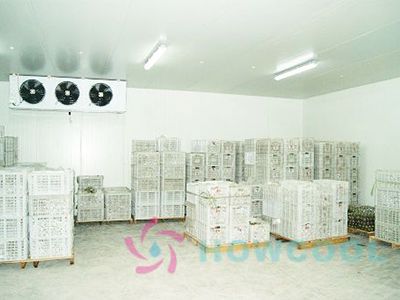 Решение и проект строительства холодильного склада для мандаринов объемом 1000 м3 в Цюйчжоу